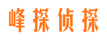 庆安婚外情调查取证